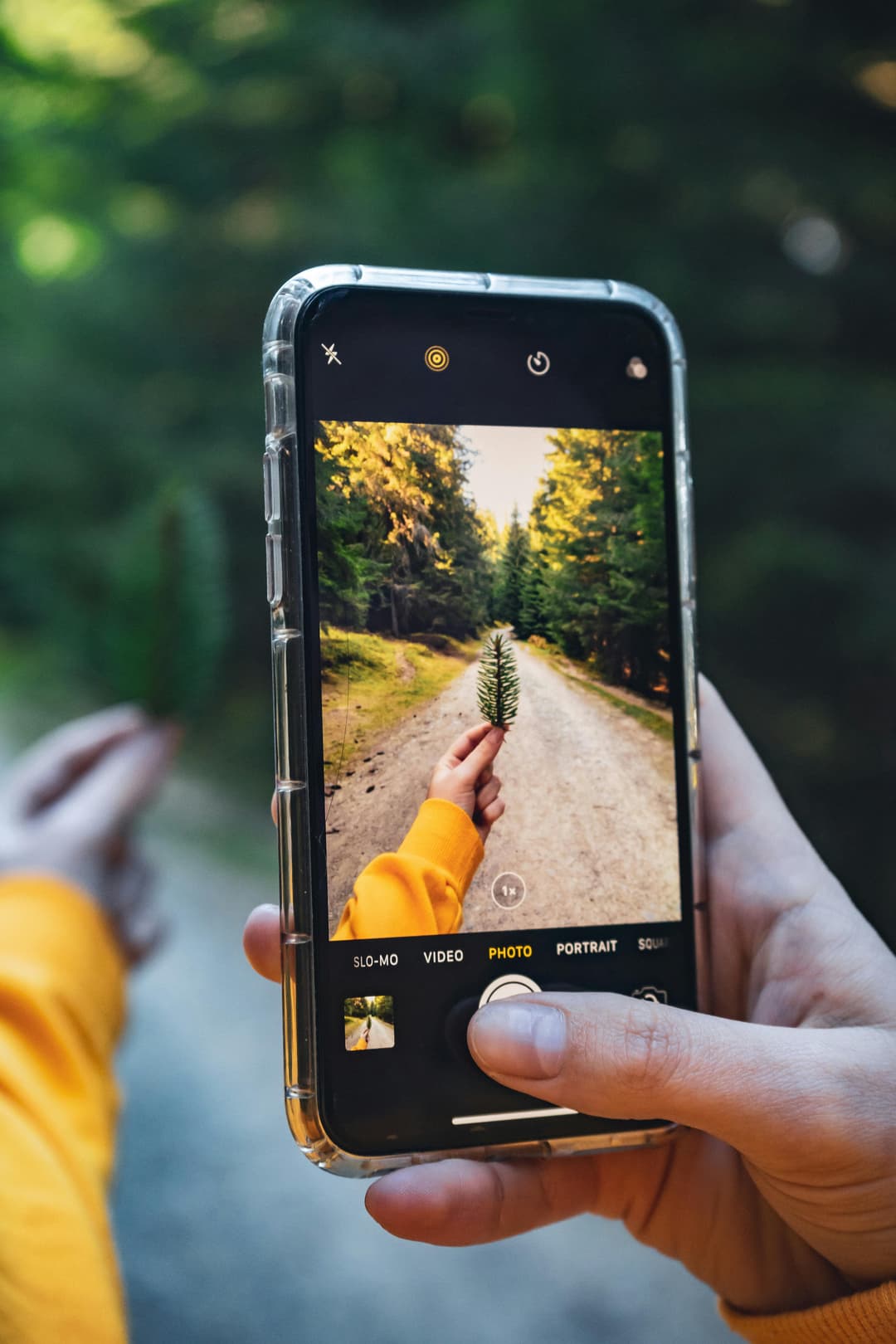 Smart phone held in a hand on a tree lined trail